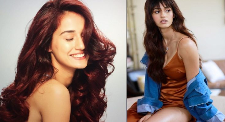 Disha Patani Photos Hot Sexy Bikini Pics Hd Wallpapers Instagram