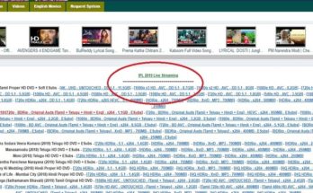 Tamilrockers IPL 2019 Live Streamin,Indian Premier League 12, Tamilrockers IPL 2019, Tamilrockers, IPL 2019