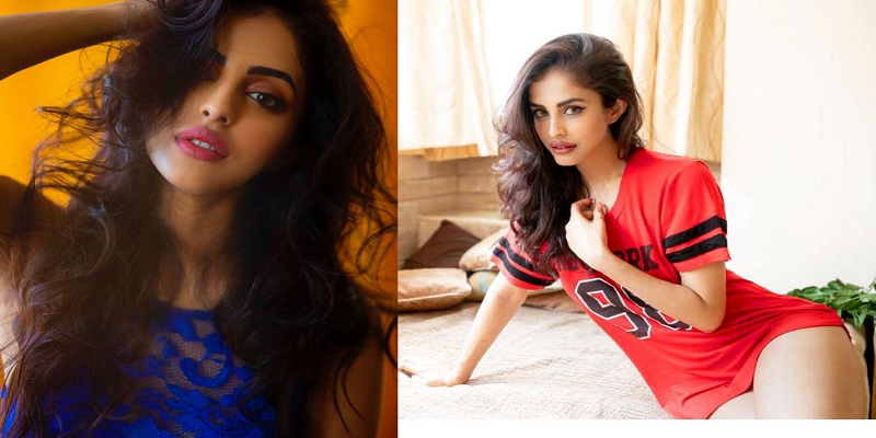 Bekaaboo Actress Priya Banerjee Wiki, Biography, Age, Height, Weight, Boyfriend, Family, Instagram & More