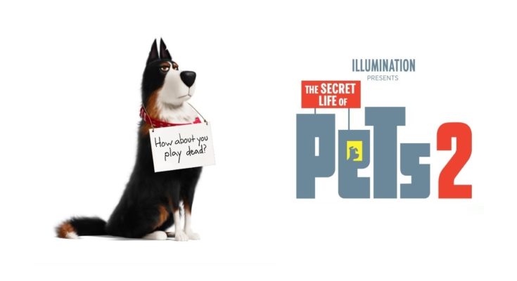 The Secret Life of Pets 2