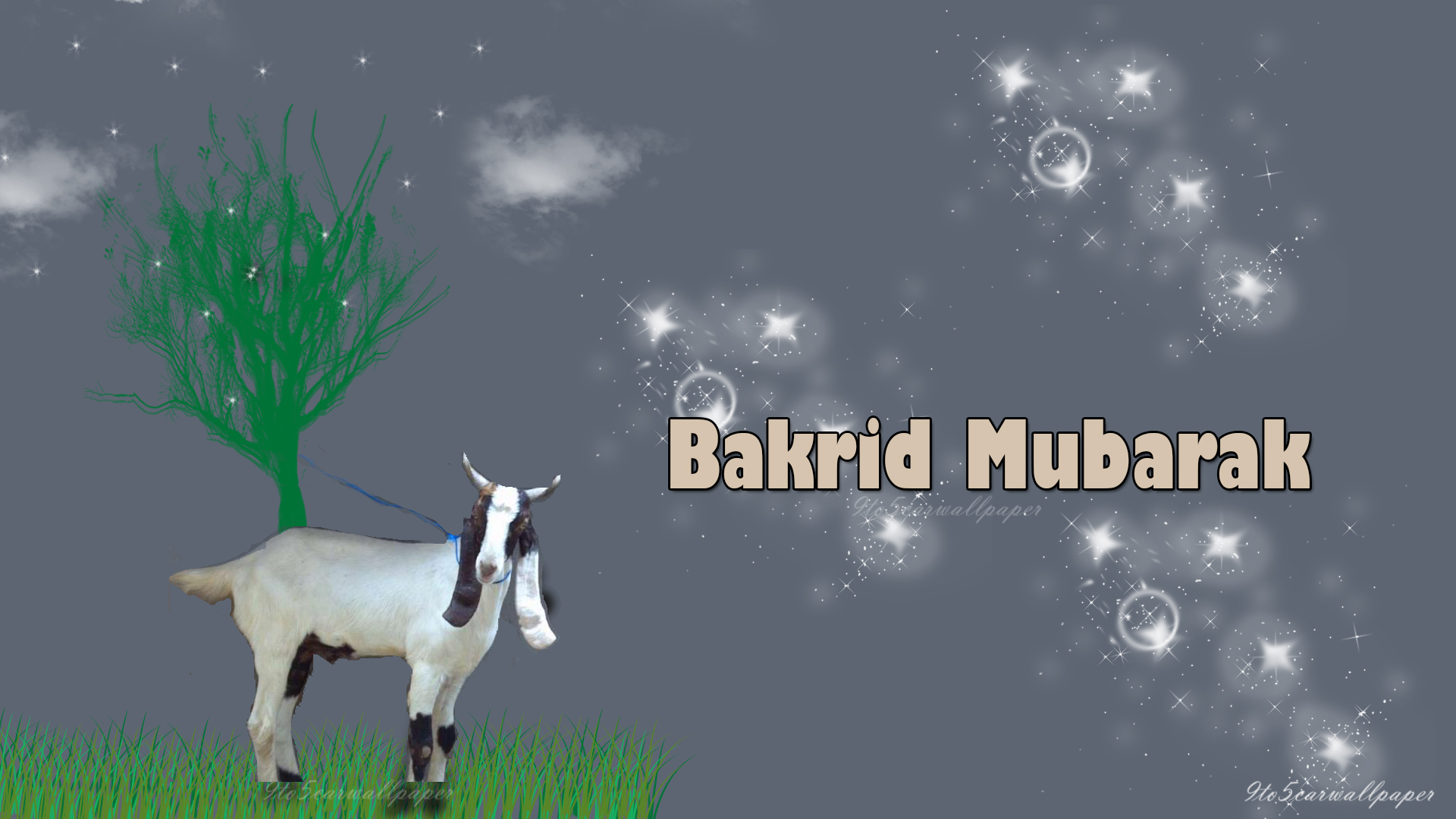 Happy-Eid-ul-Adha-Bakra-Eid