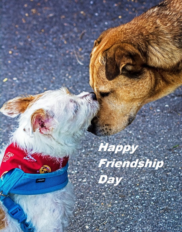 Happy Friendship Day Images for Whatsapp