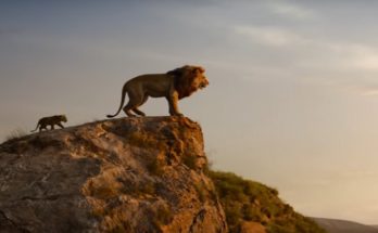 The Lion King Tamilrockers 2019: The Lion King Full Movie Leaked in Hindi, English by Tamilrockers