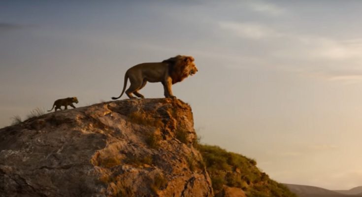 The Lion King Tamilrockers 2019: The Lion King Full Movie Leaked in Hindi, English by Tamilrockers