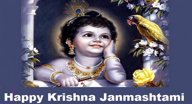 Happy Janmashtami Wishes Images: Download Shri Krishna HD Photos, Wallpapers for Whatsapp DP and Facebook Status