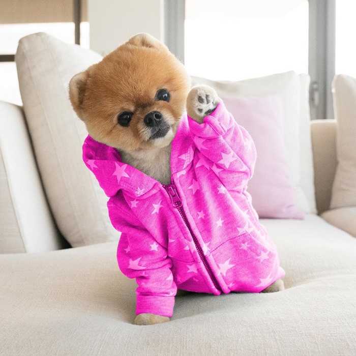 JiffPom