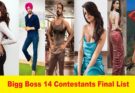 Bigg Boss 14 contestants final list