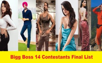 Bigg Boss 14 contestants final list